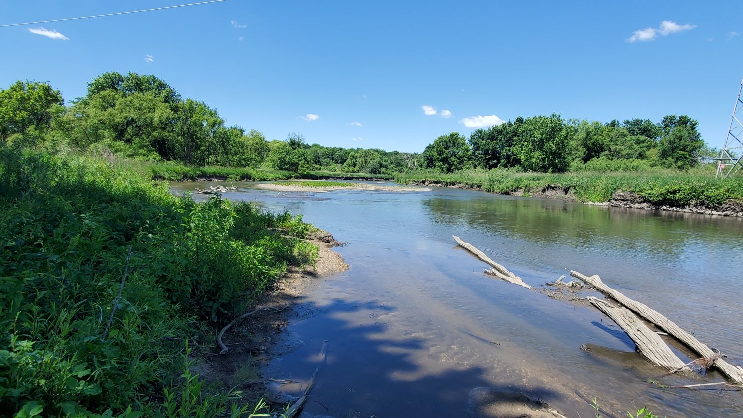 Oak Ridge Forest Preserve 